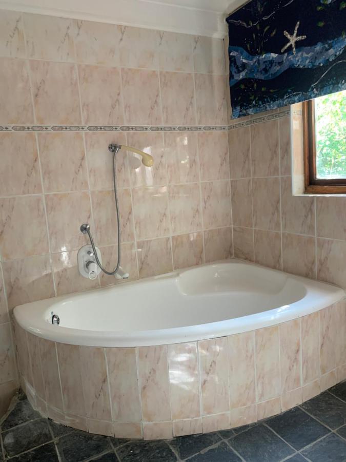 The Little Hideaway Guesthouse 斯泰伦博斯 外观 照片