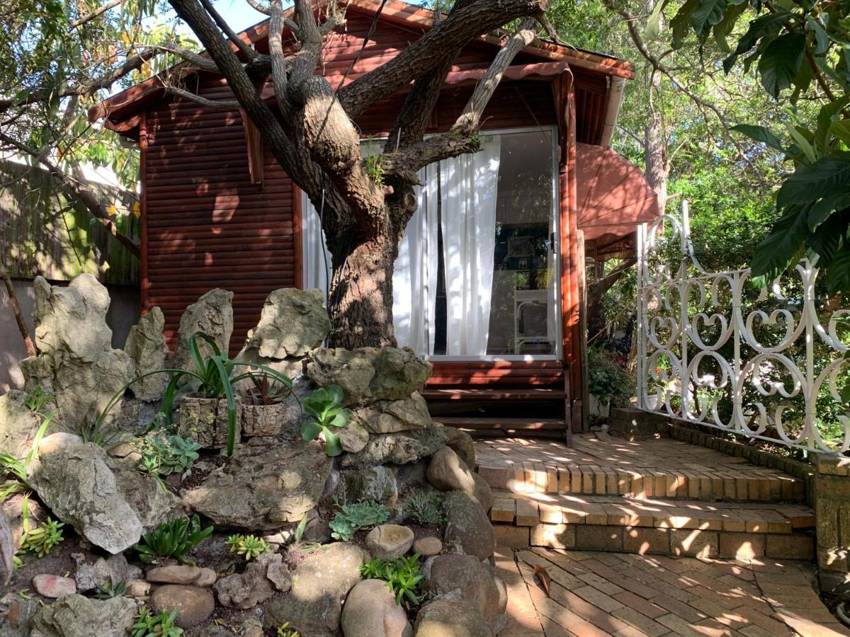 The Little Hideaway Guesthouse 斯泰伦博斯 外观 照片