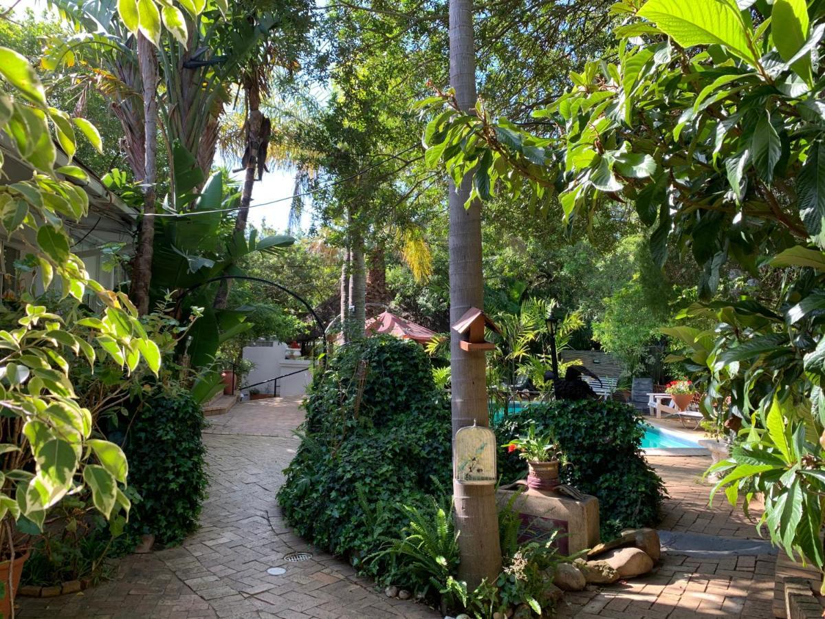 The Little Hideaway Guesthouse 斯泰伦博斯 外观 照片