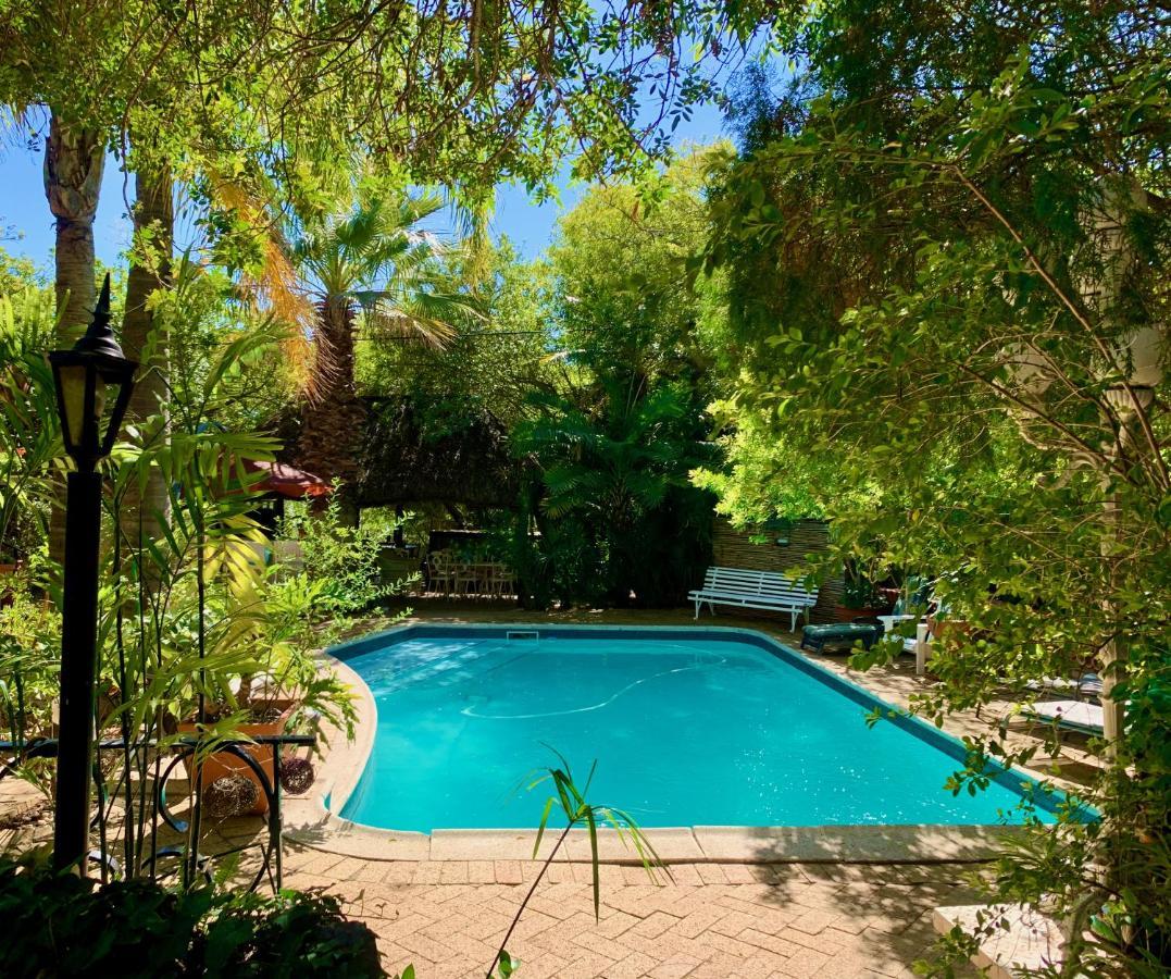 The Little Hideaway Guesthouse 斯泰伦博斯 外观 照片
