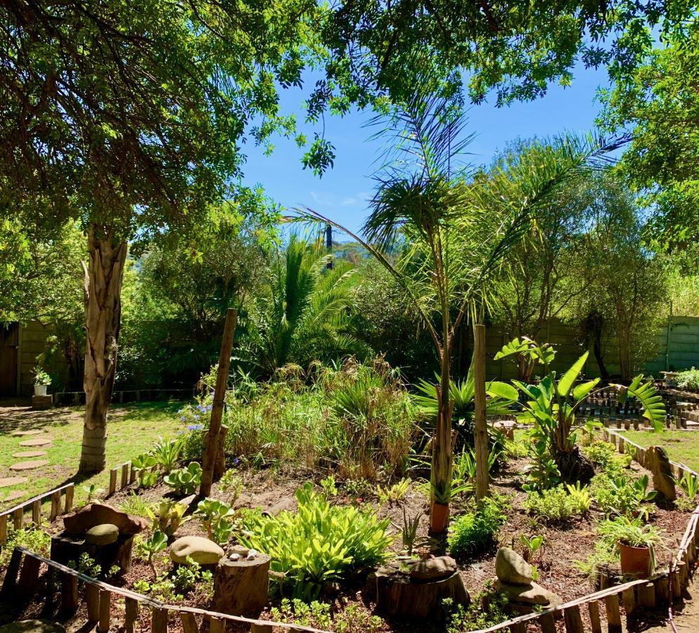 The Little Hideaway Guesthouse 斯泰伦博斯 外观 照片