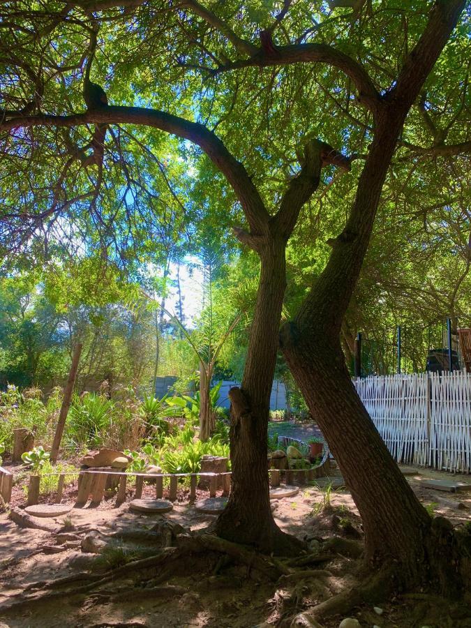 The Little Hideaway Guesthouse 斯泰伦博斯 外观 照片