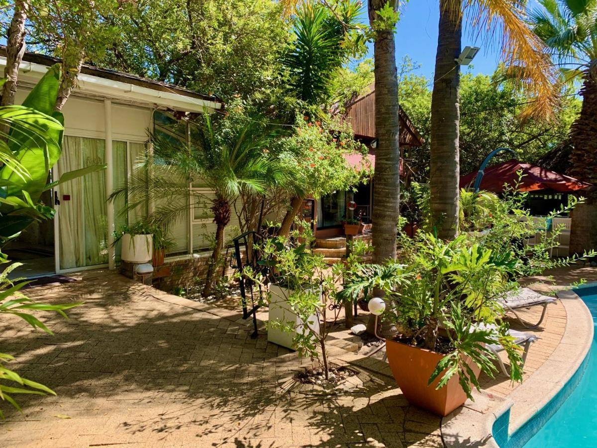 The Little Hideaway Guesthouse 斯泰伦博斯 外观 照片