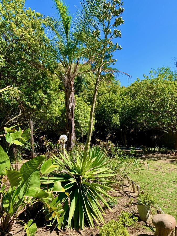 The Little Hideaway Guesthouse 斯泰伦博斯 外观 照片